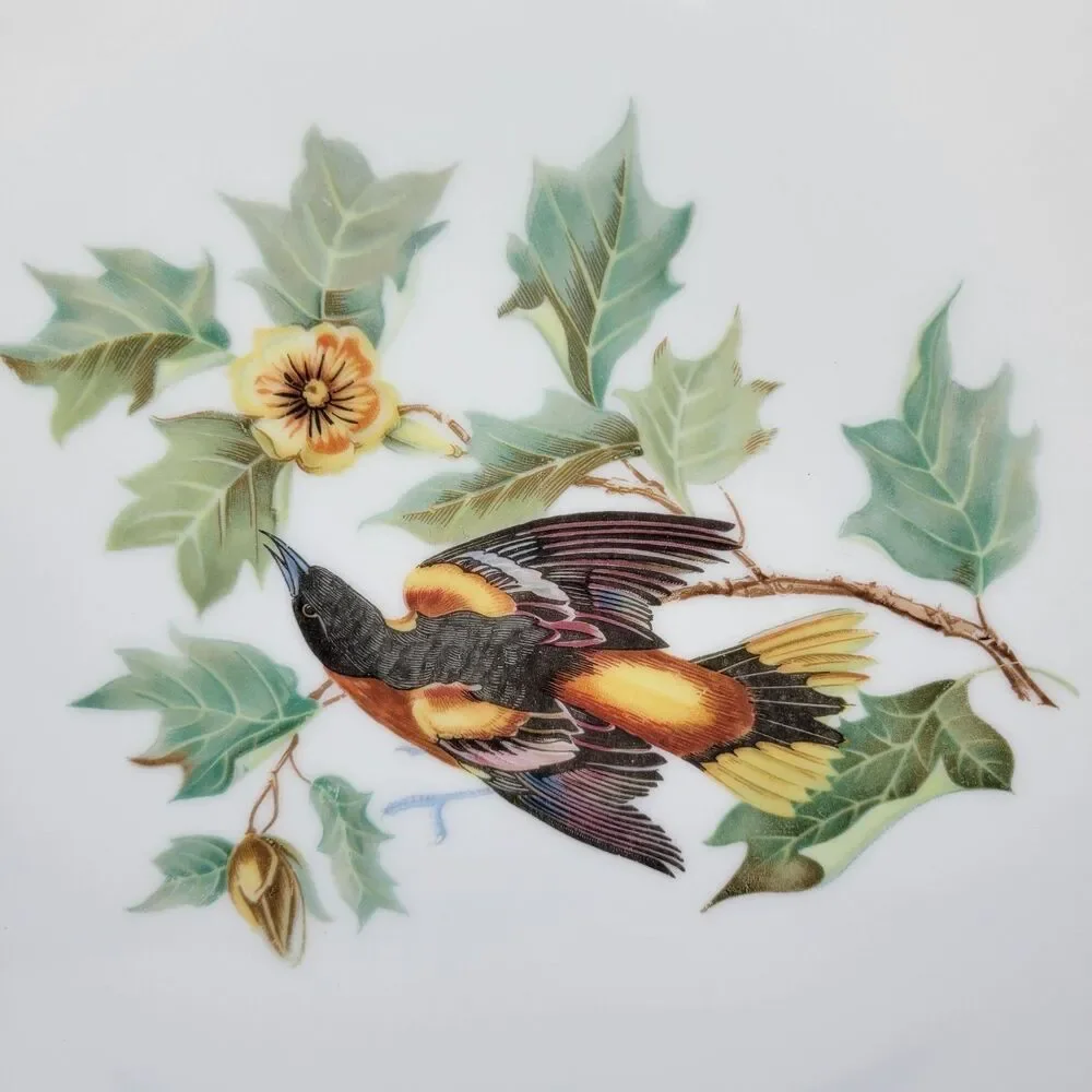 Hutschenreuther Baltimore Oriole 13